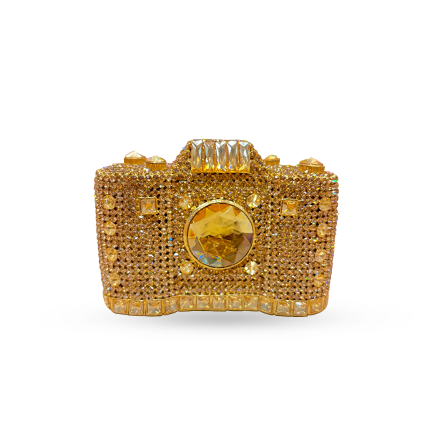 Gold Camera Clutch
