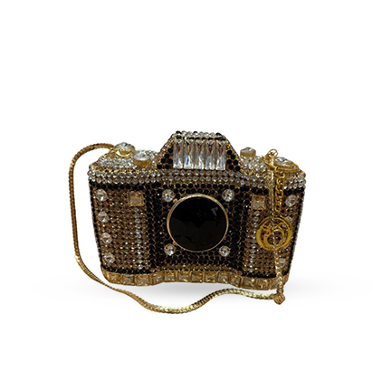 Camera Clutch (Golden)