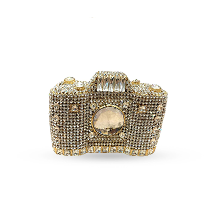 Silver Camera Clutch